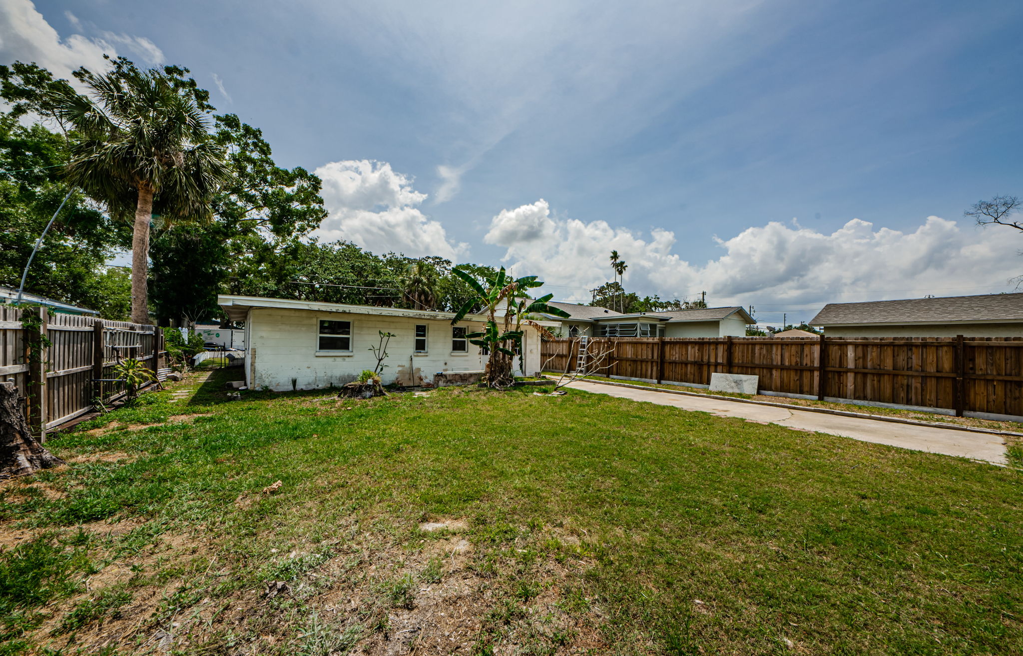 Backyard 5