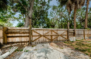 Back Gate 1