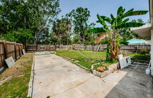 Backyard 1