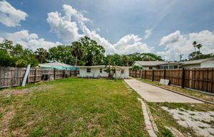 Backyard 3