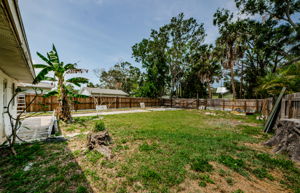 Backyard 4
