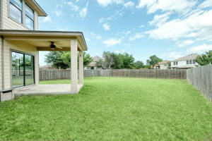 Back Yard/Patio