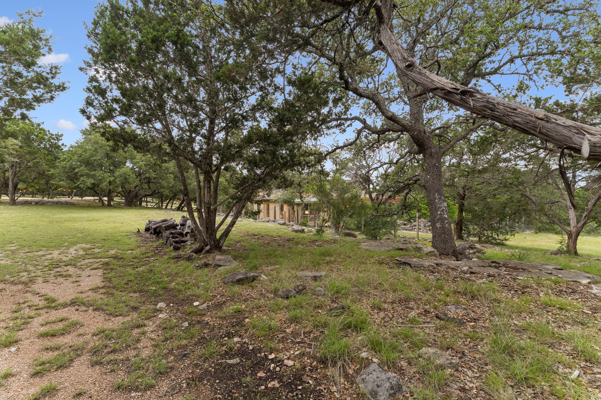  Photo 102