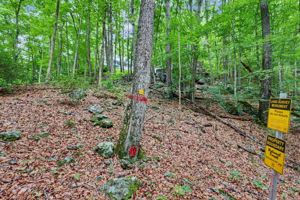  Photo 51
