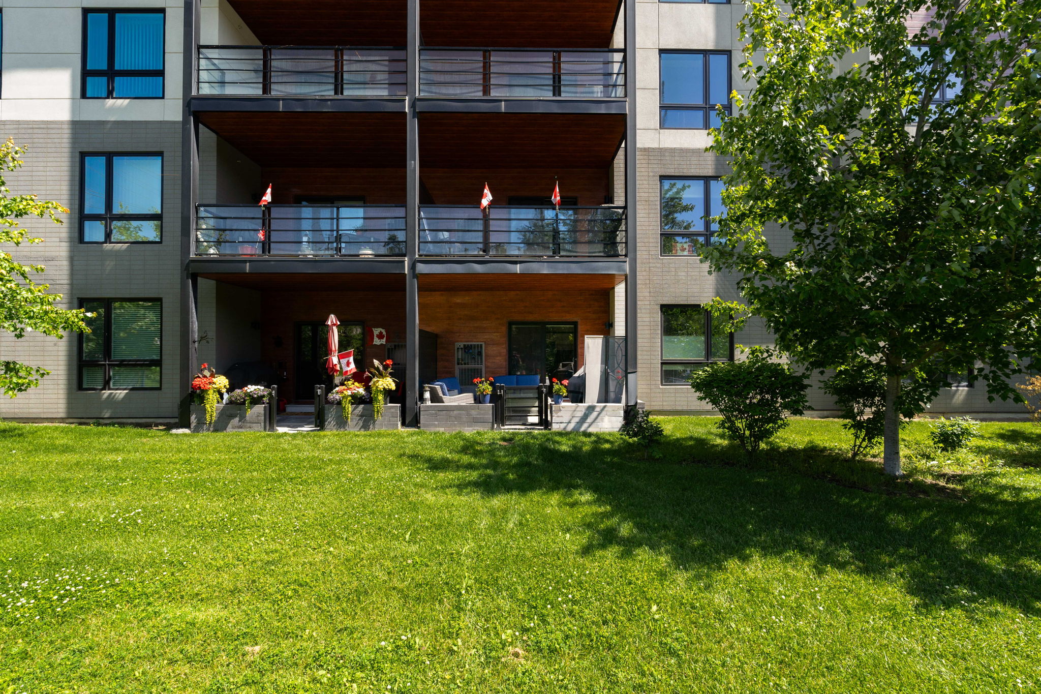  Photo 23