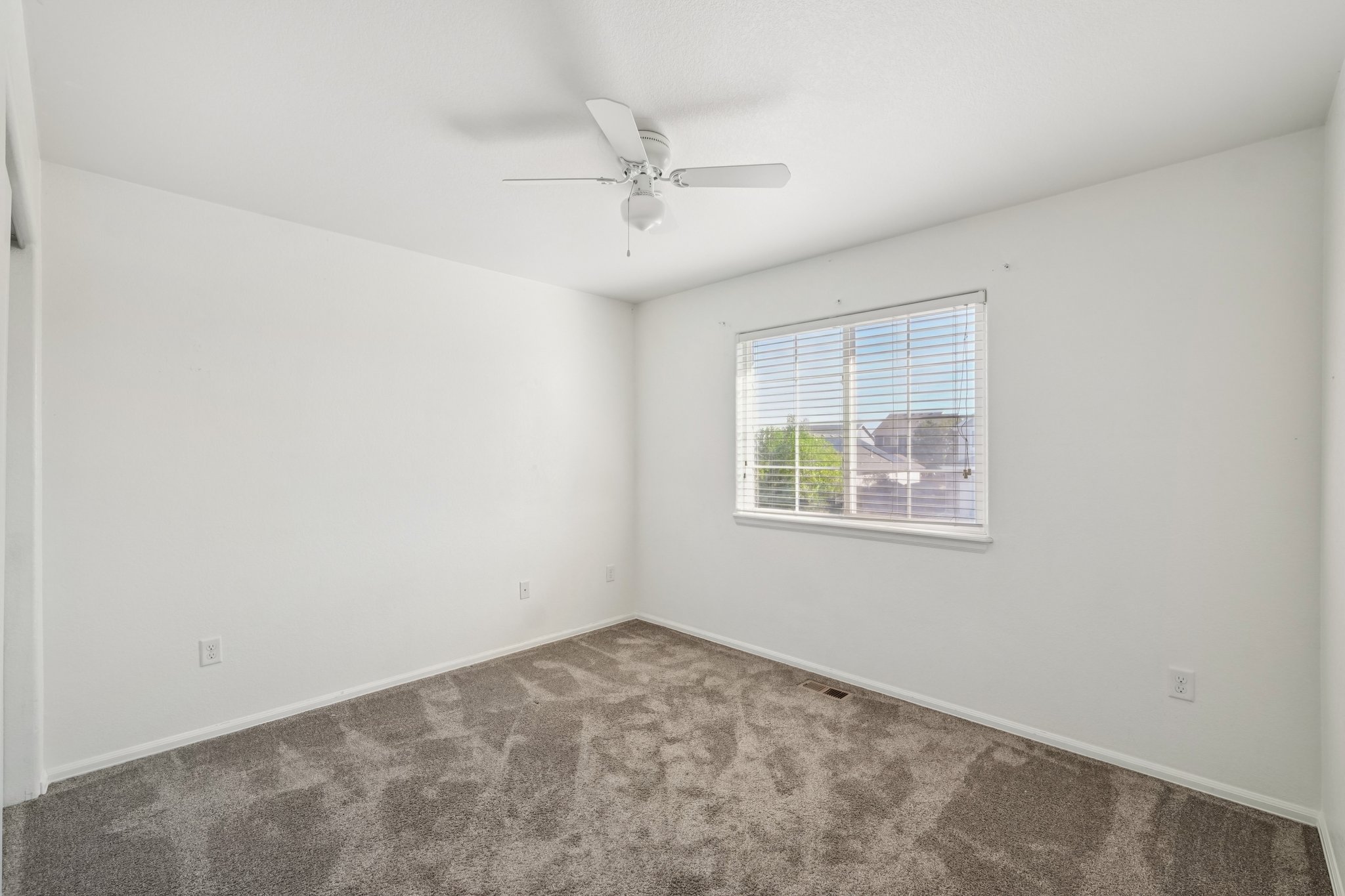 Fossil Dr-S2110-019.jpg