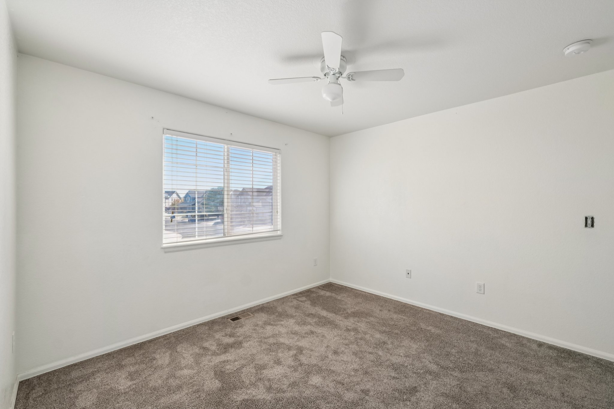 Fossil Dr-S2110-022.jpg