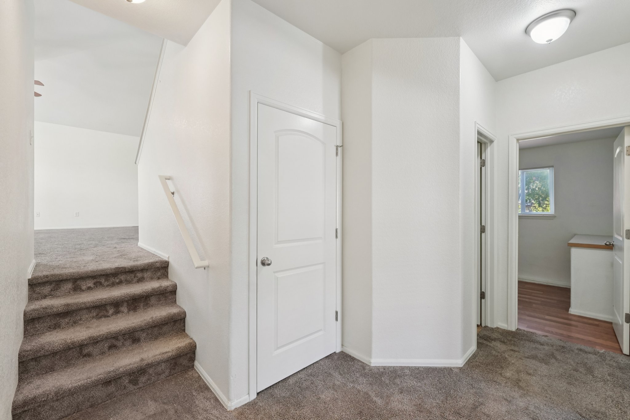 Fossil Dr-S2110-029.jpg