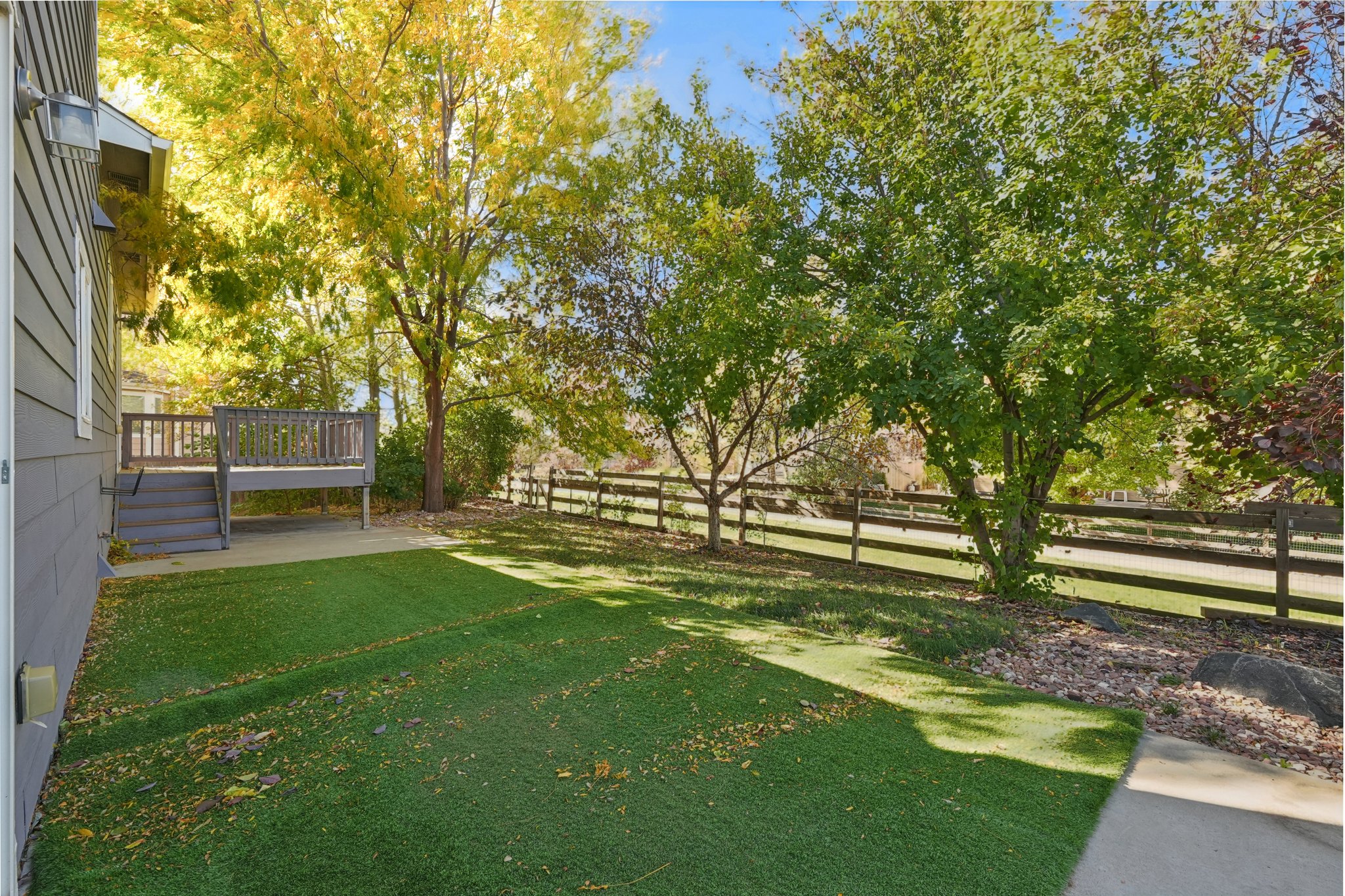 Fossil Dr-S2110-042.jpg