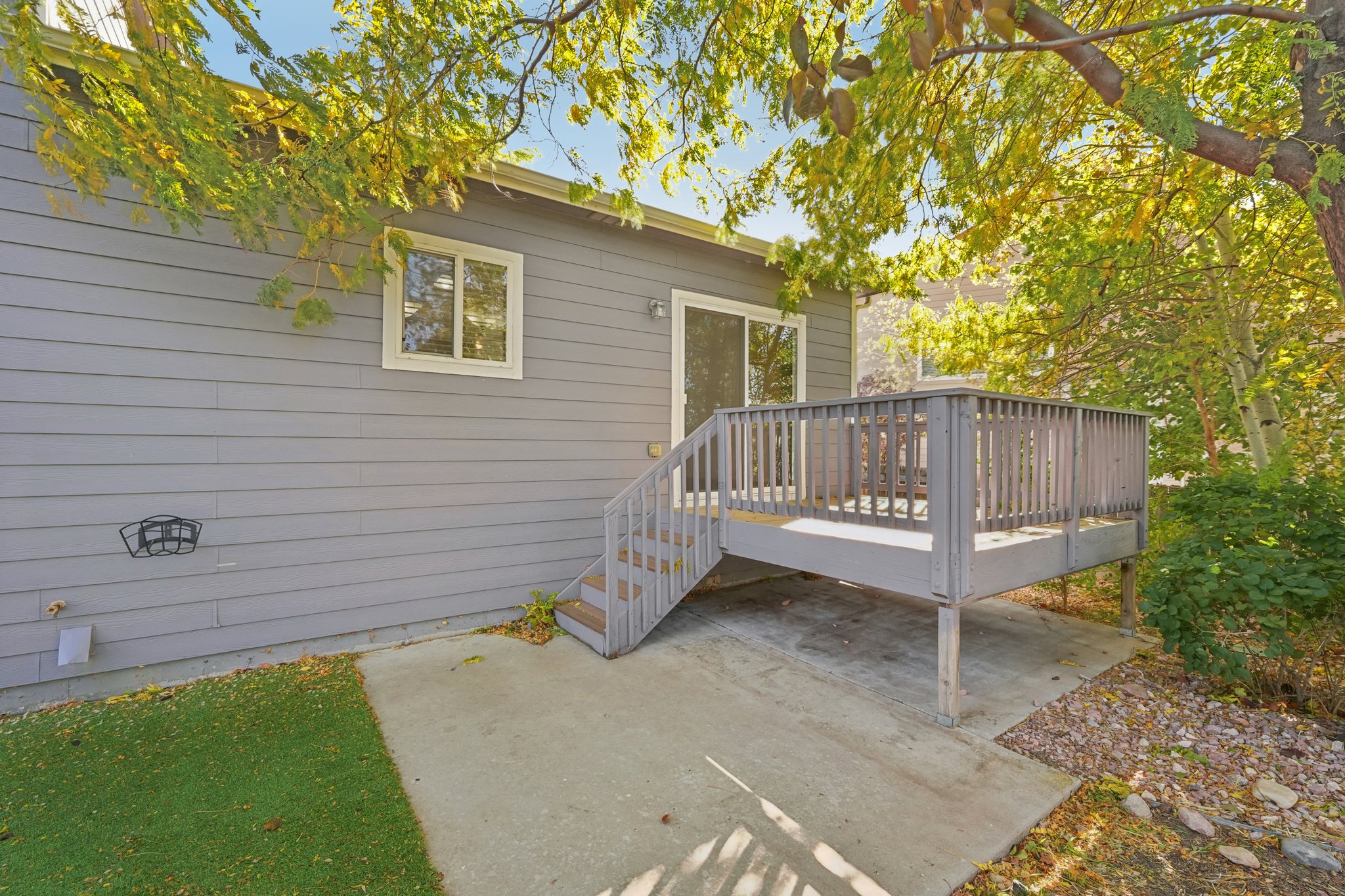 Fossil Dr-S2110-044.jpg