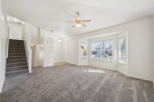 Fossil Dr-S2110-007.jpg