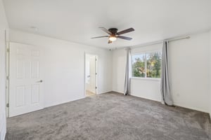 Fossil Dr-S2110-024.jpg