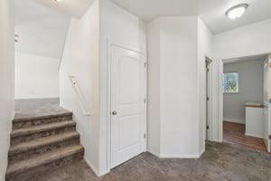 Fossil Dr-S2110-029.jpg