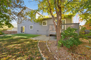 Fossil Dr-S2110-043.jpg