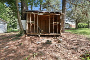  Photo 41