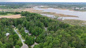 Drone 306 Potomac Drive-10