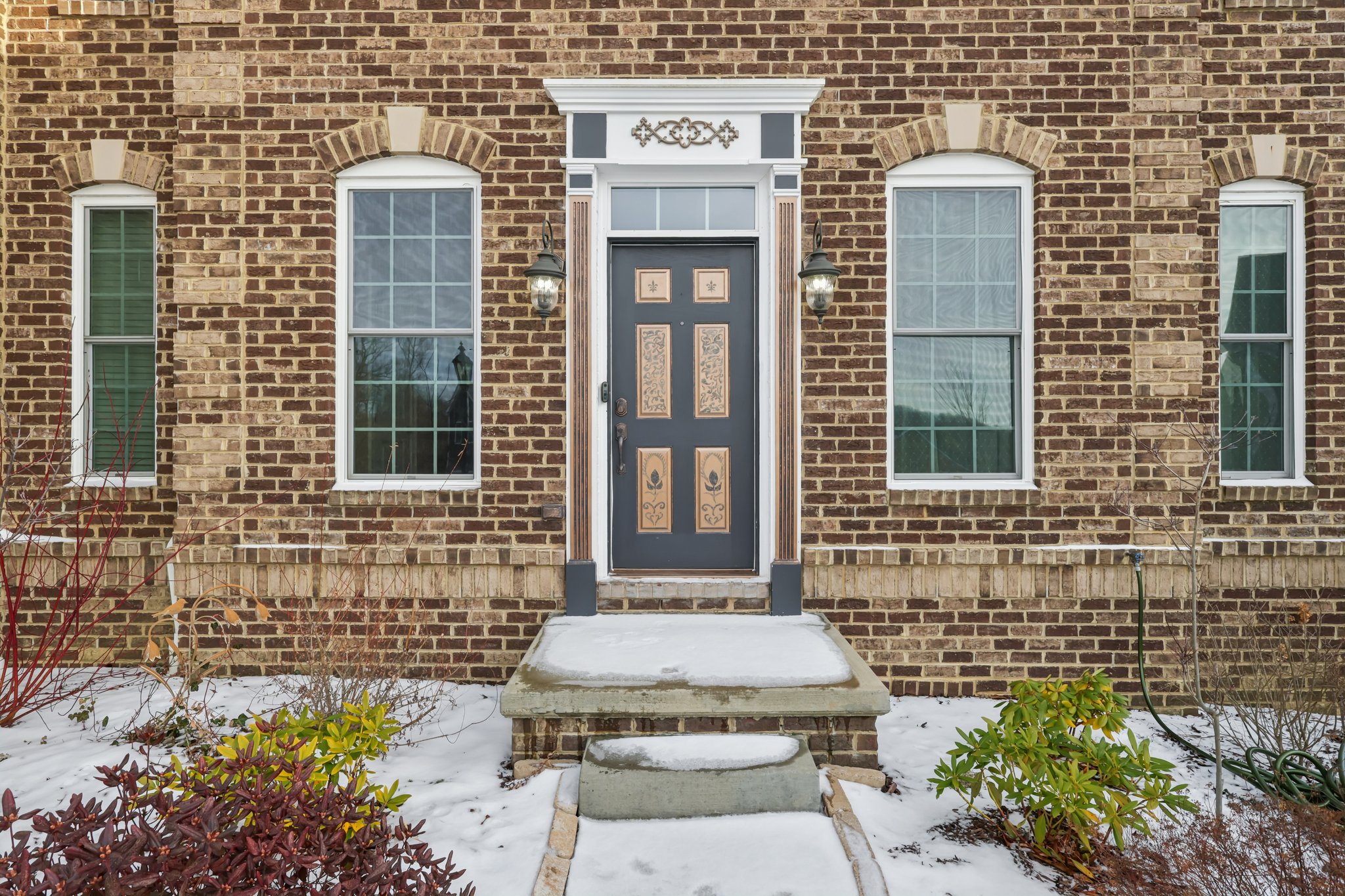 Sapling Ct-S2301-002.jpg