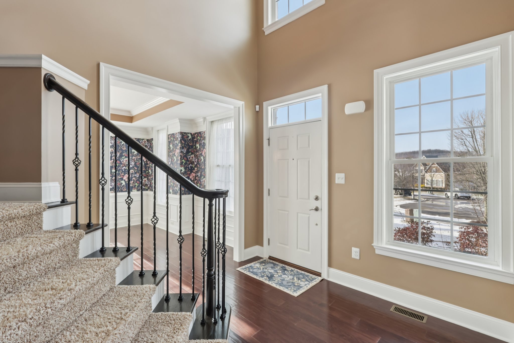 Sapling Ct-S2301-005.jpg