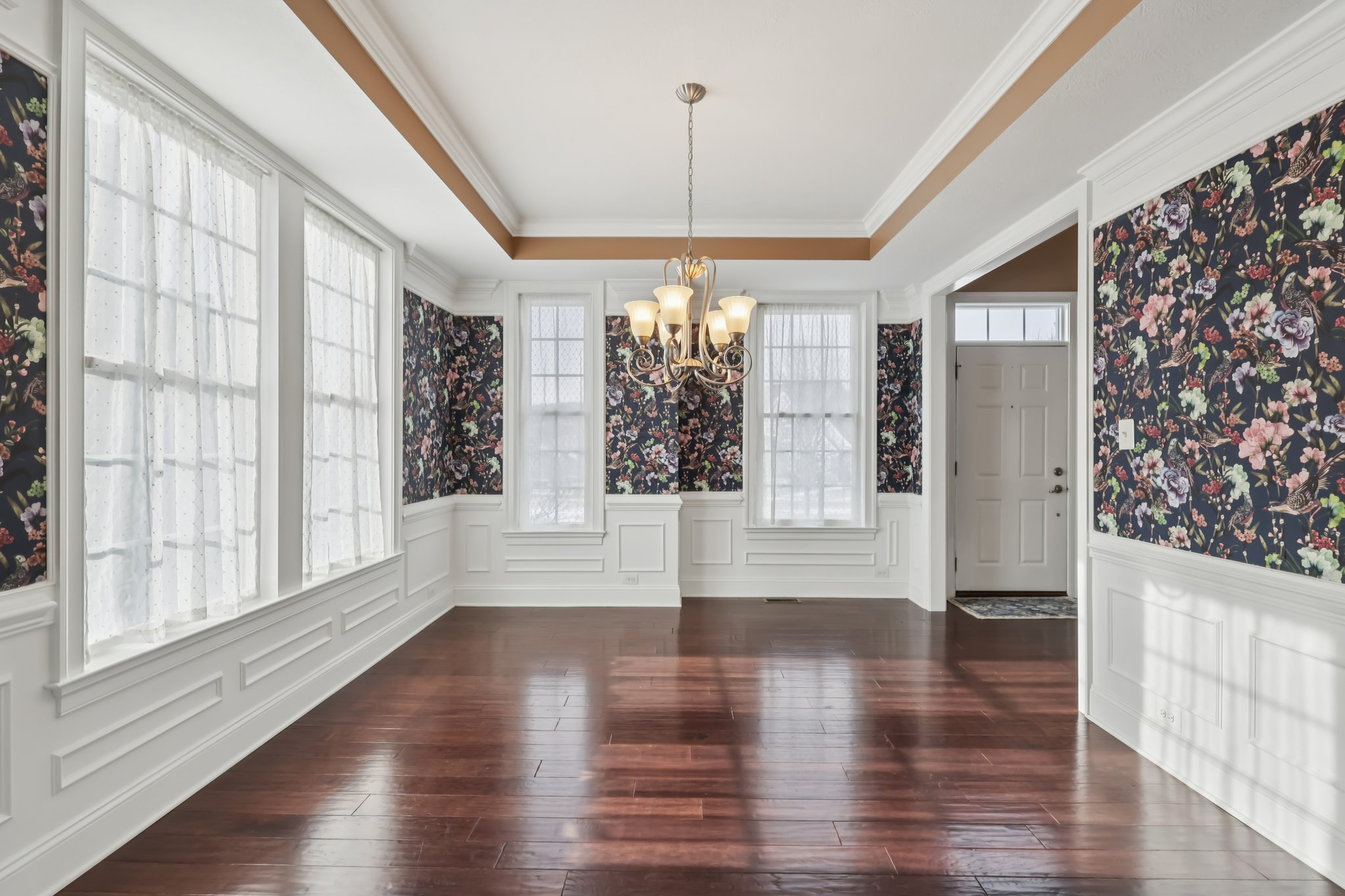 Sapling Ct-S2301-025.jpg