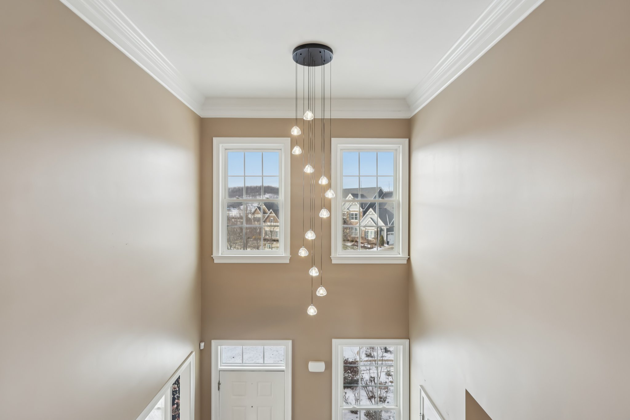 Sapling Ct-S2301-028.jpg