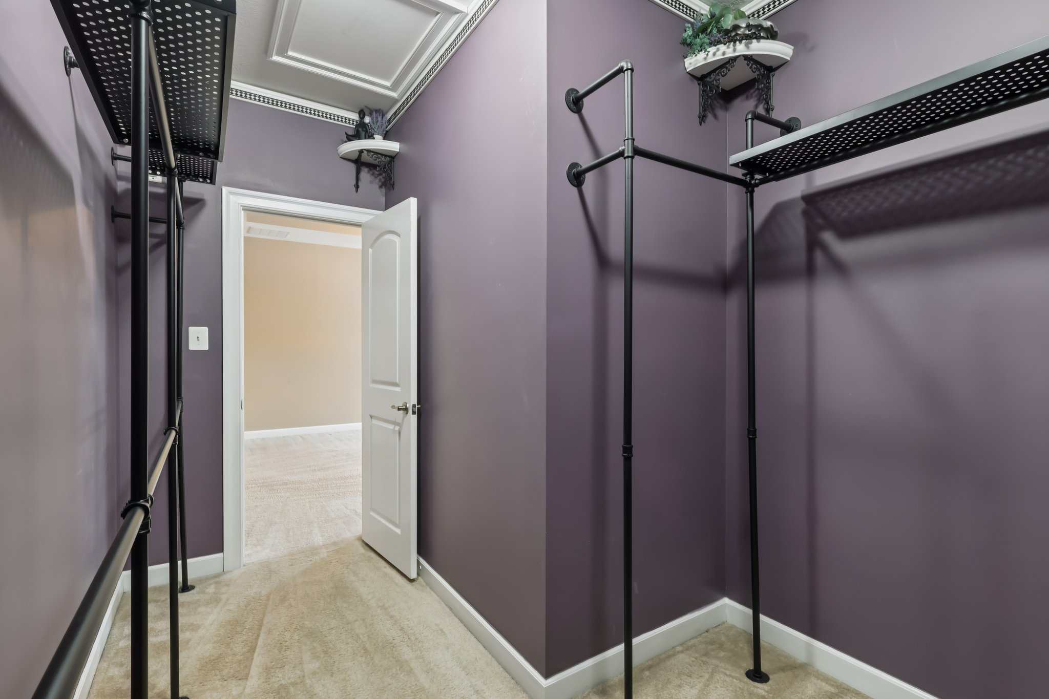 Sapling Ct-S2301-033.jpg