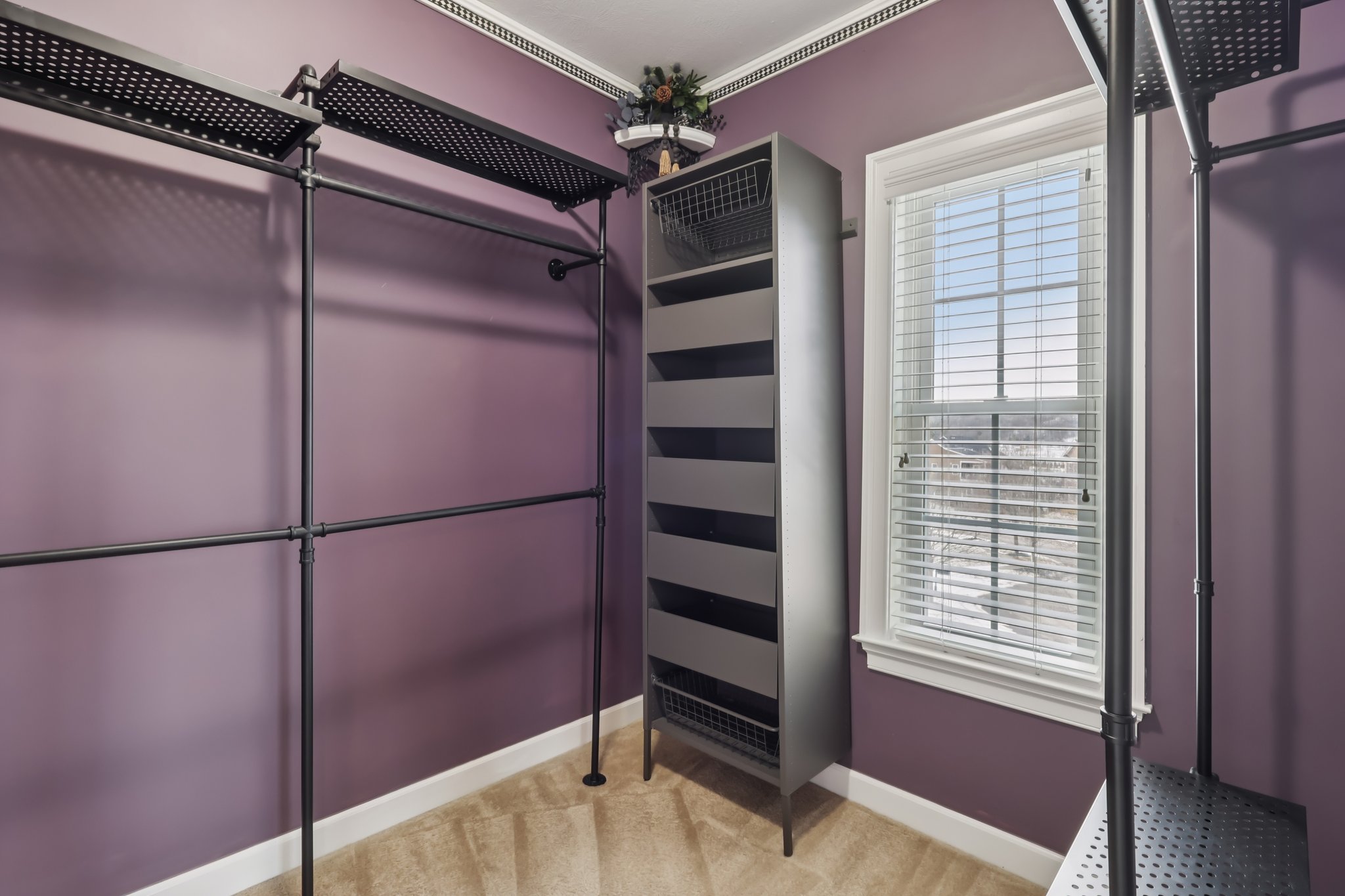 Sapling Ct-S2301-034.jpg