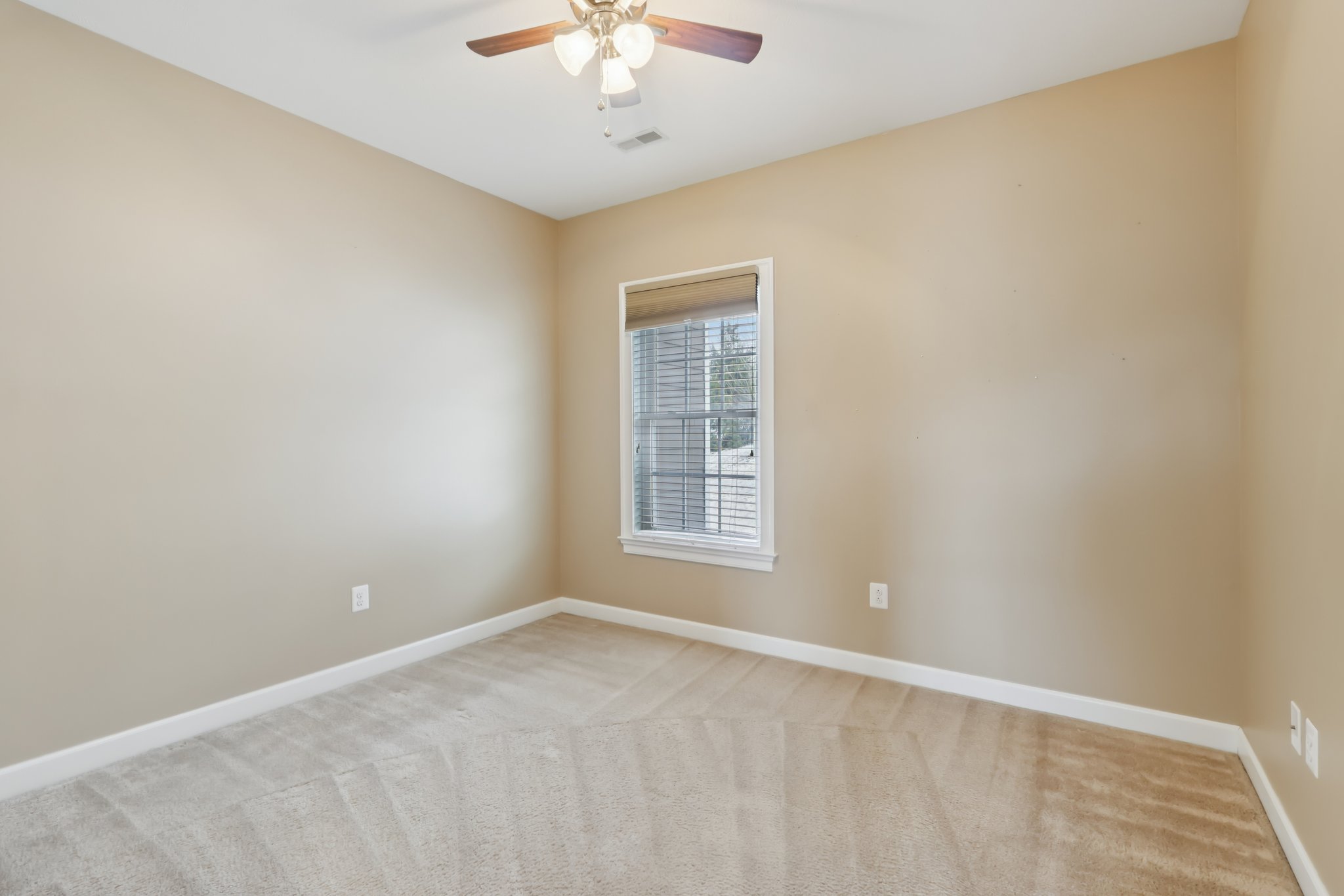 Sapling Ct-S2301-040.jpg