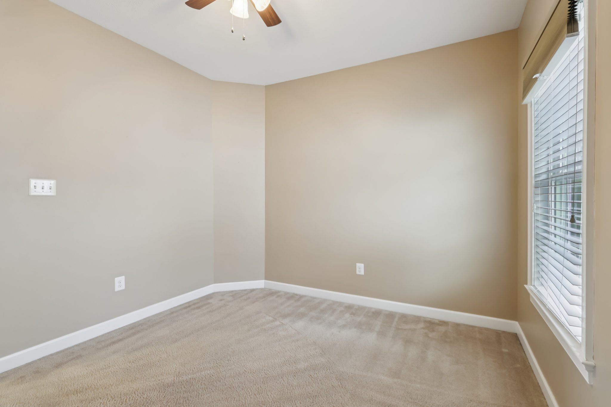 Sapling Ct-S2301-041.jpg