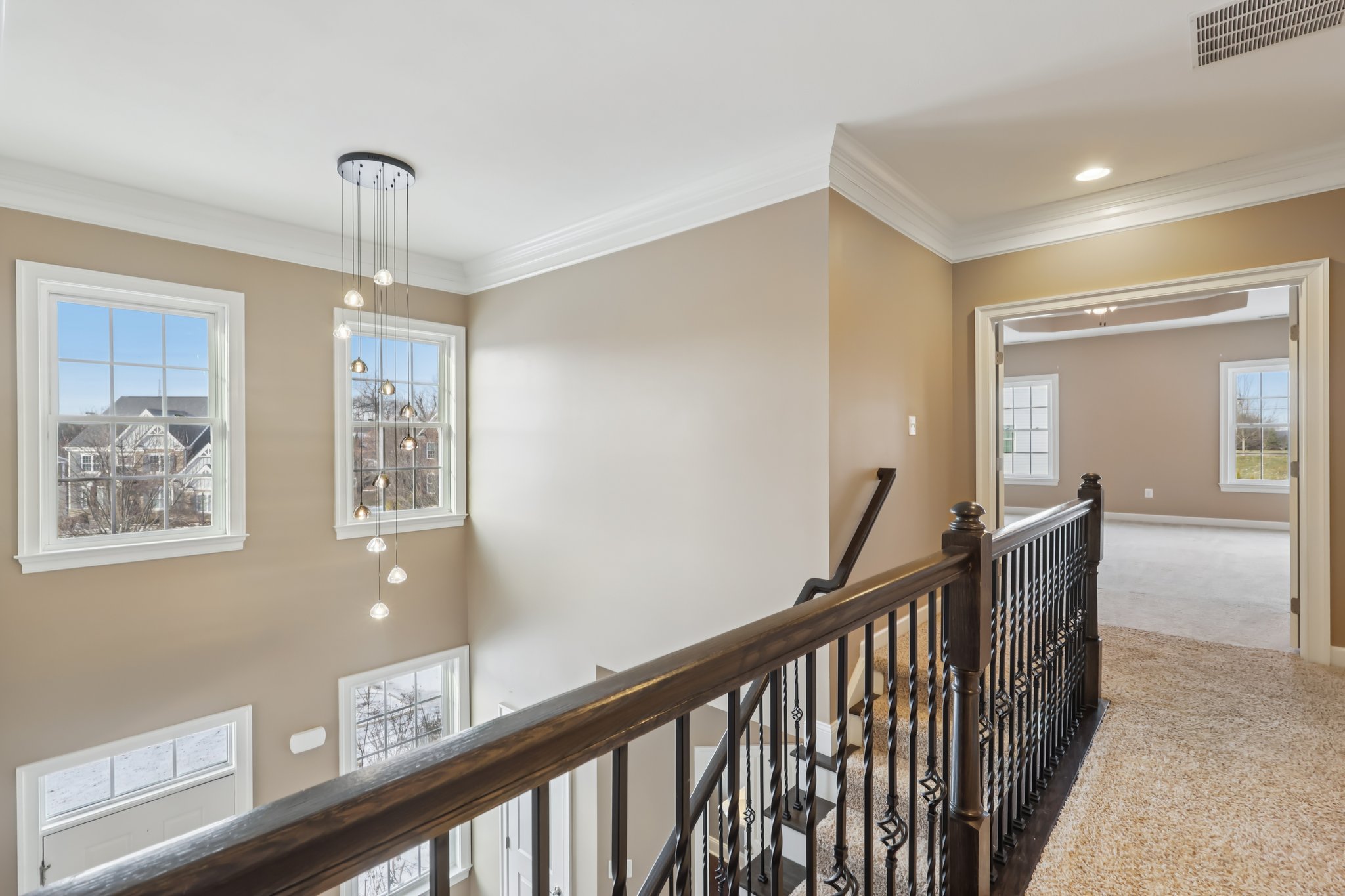 Sapling Ct-S2301-044.jpg