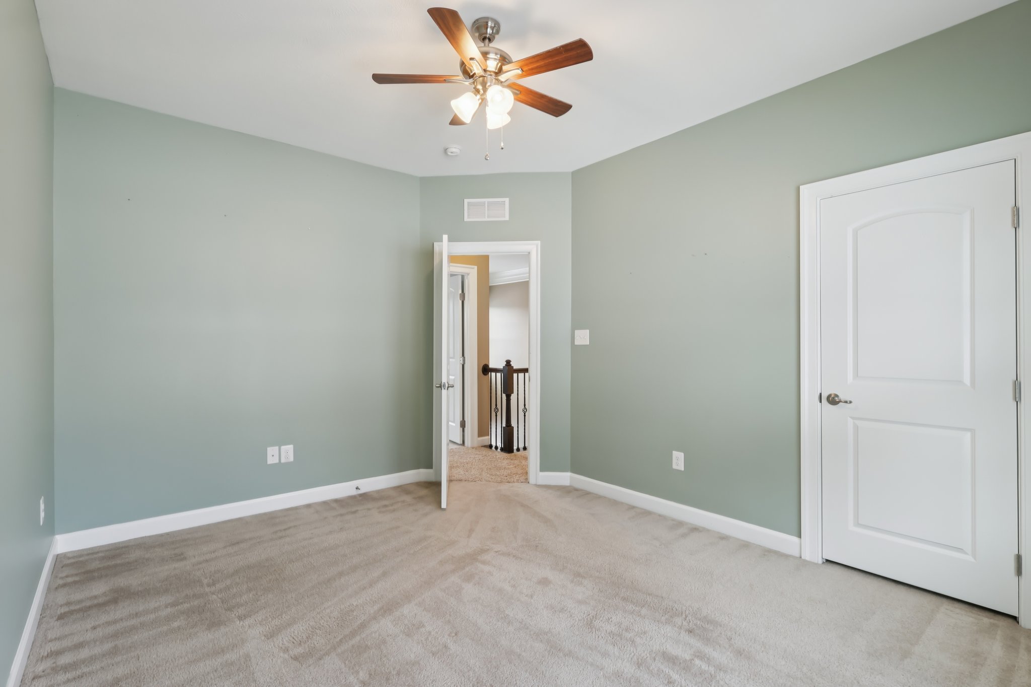 Sapling Ct-S2301-046.jpg