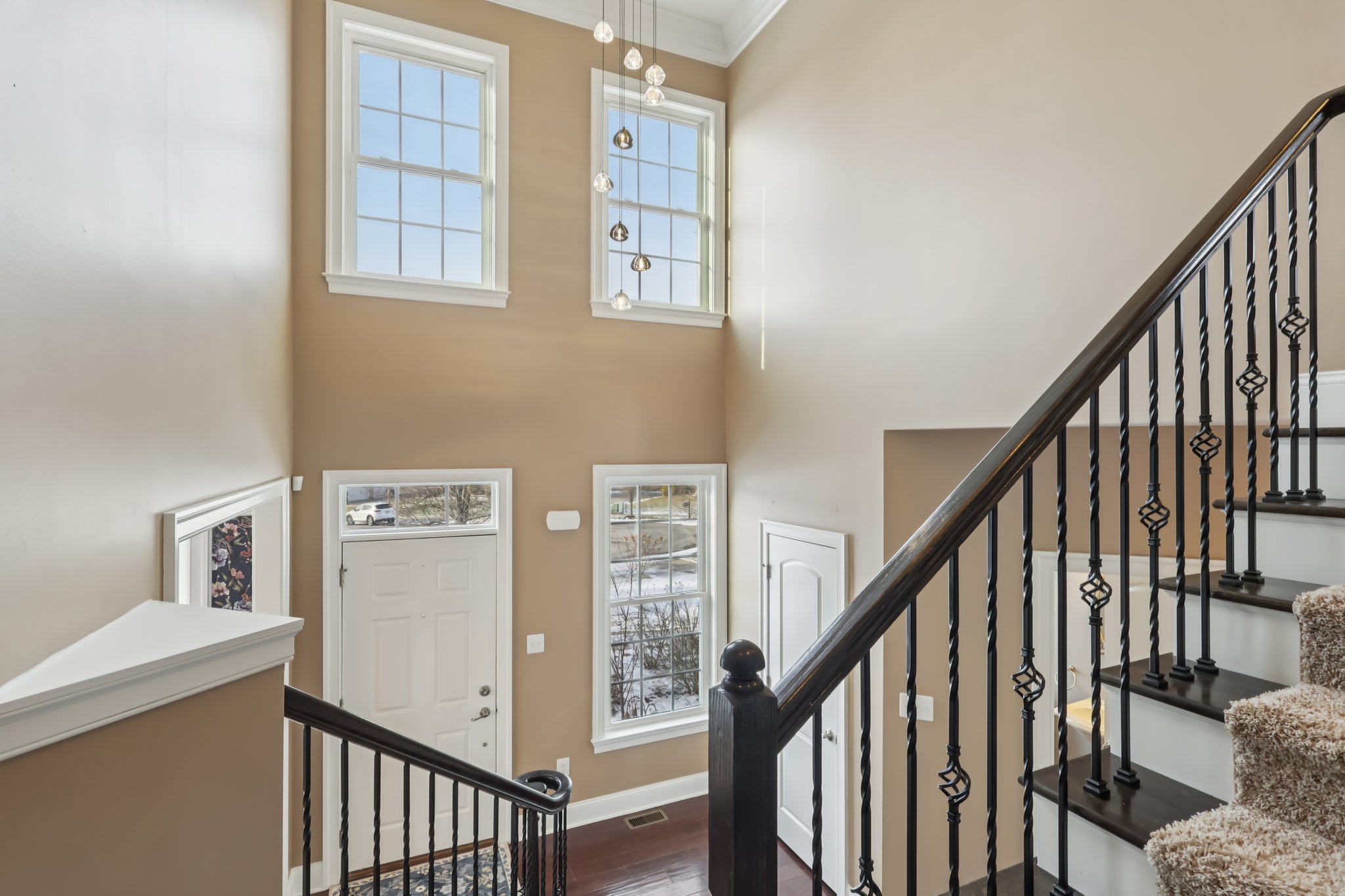 Sapling Ct-S2301-049.jpg