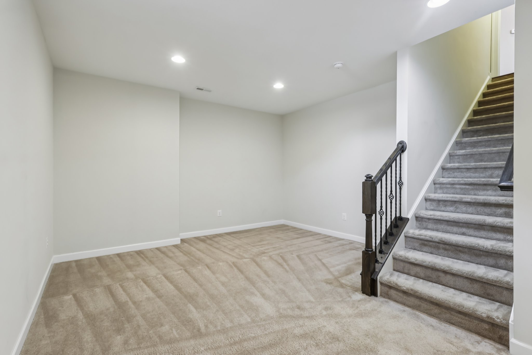 Sapling Ct-S2301-053.jpg