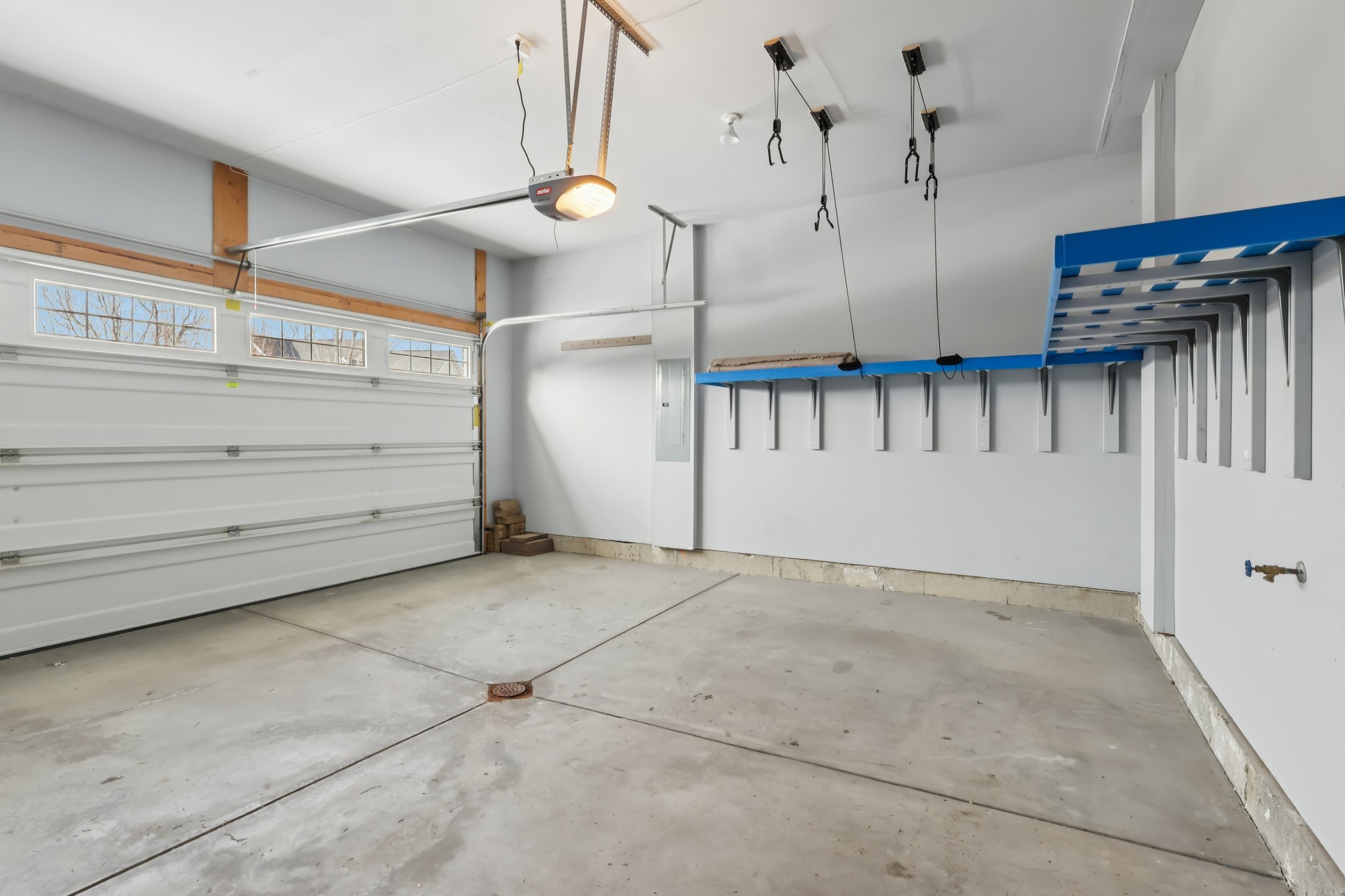 Sapling Ct-S2301-055.jpg