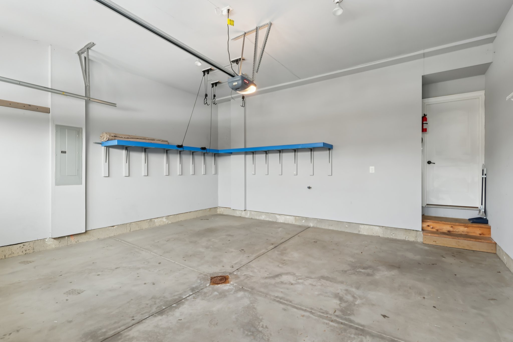 Sapling Ct-S2301-056.jpg