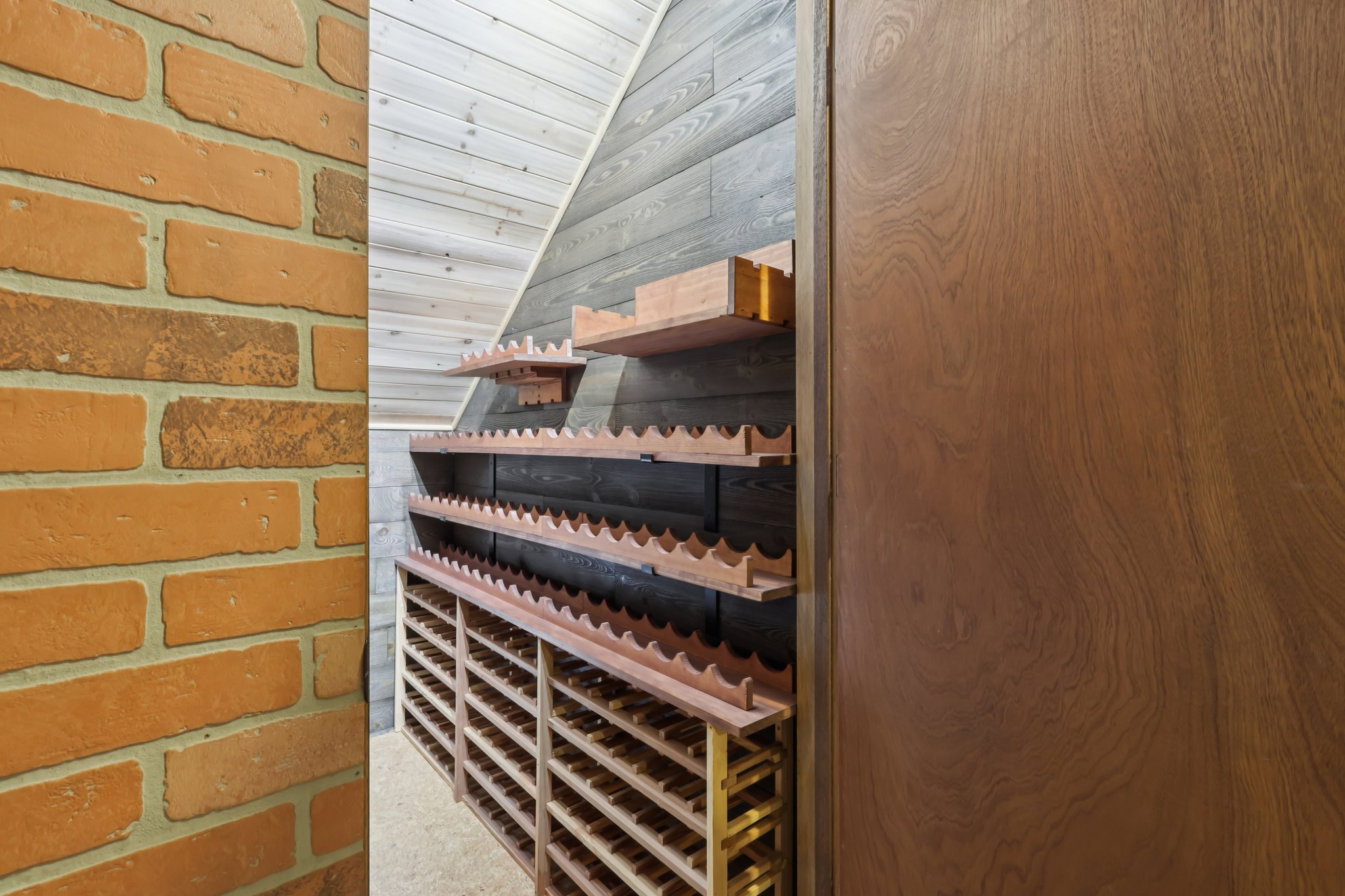 Sapling Ct-S2301-058.jpg