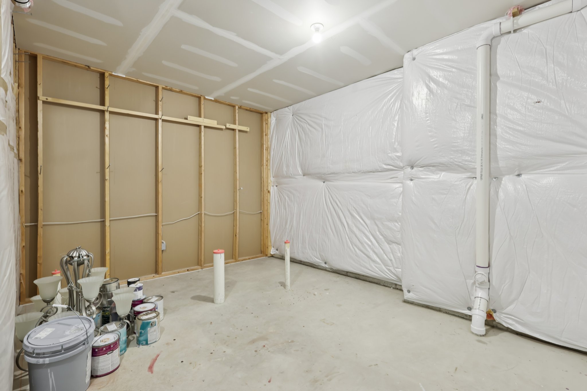 Sapling Ct-S2301-059.jpg