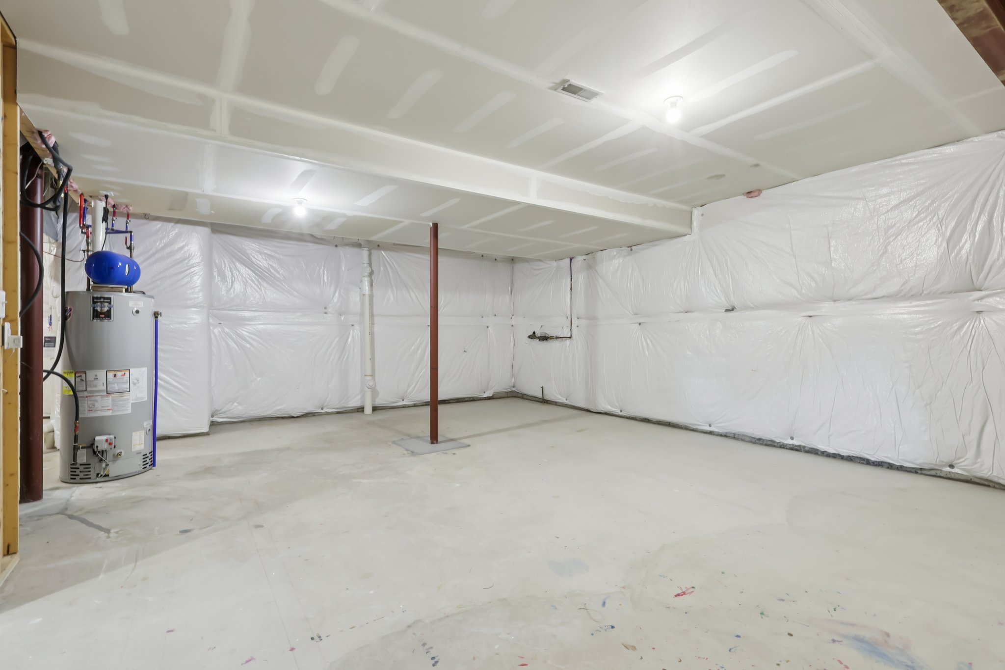 Sapling Ct-S2301-060.jpg