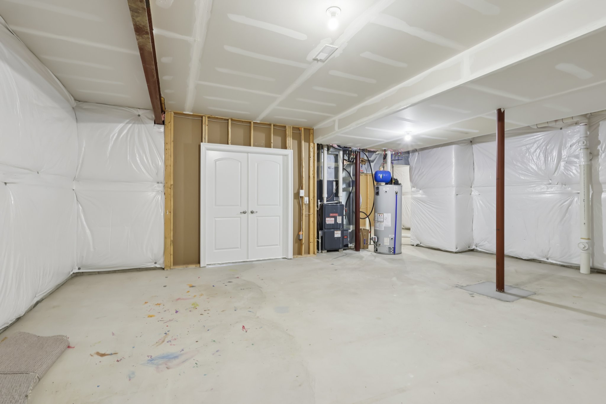 Sapling Ct-S2301-061.jpg