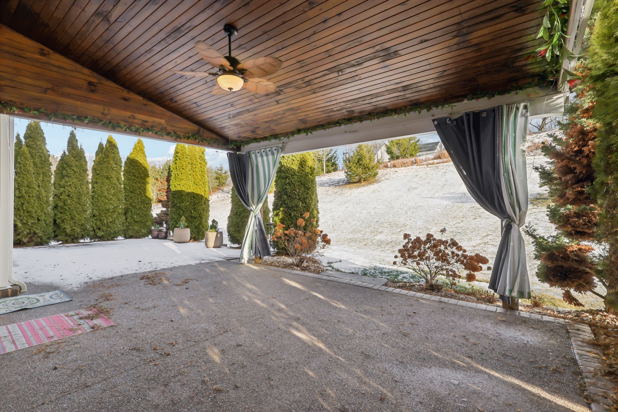 Sapling Ct-S2301-063.jpg