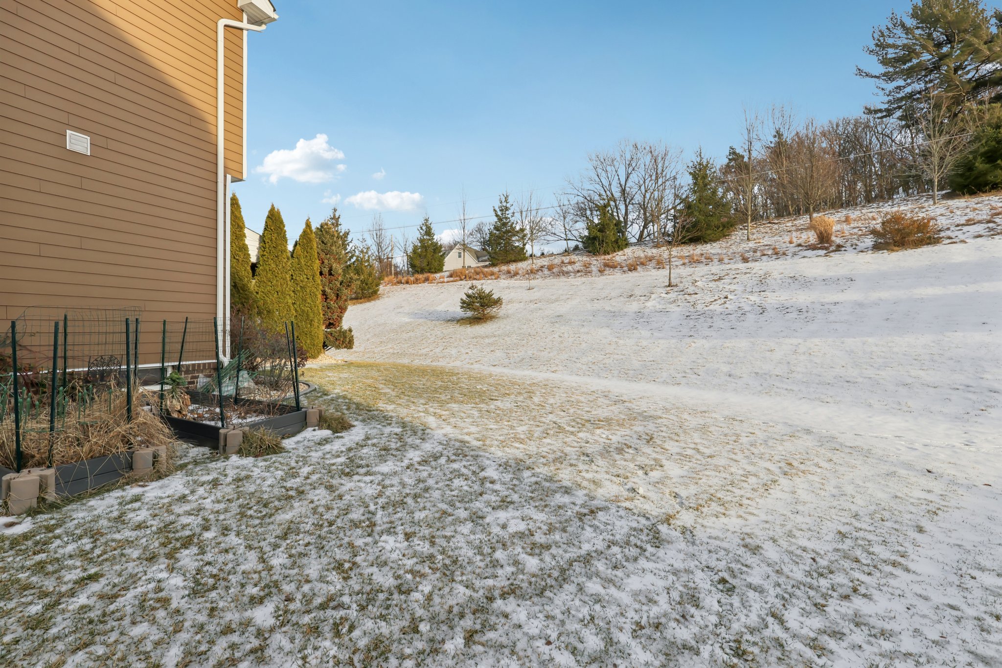 Sapling Ct-S2301-071.jpg