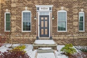 Sapling Ct-S2301-002.jpg