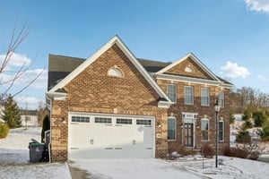 Sapling Ct-S2301-003.jpg