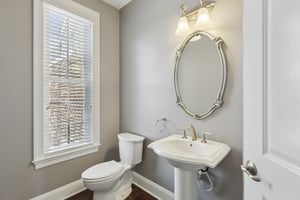 Sapling Ct-S2301-022.jpg