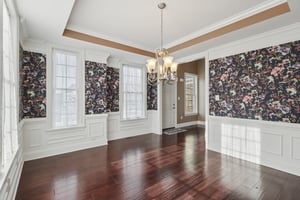 Sapling Ct-S2301-024.jpg