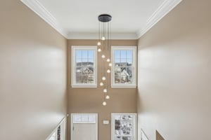 Sapling Ct-S2301-028.jpg