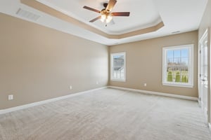 Sapling Ct-S2301-030.jpg