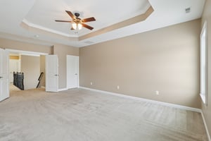 Sapling Ct-S2301-031.jpg