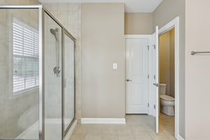 Sapling Ct-S2301-037.jpg