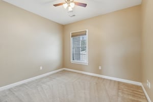 Sapling Ct-S2301-040.jpg