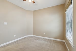 Sapling Ct-S2301-041.jpg